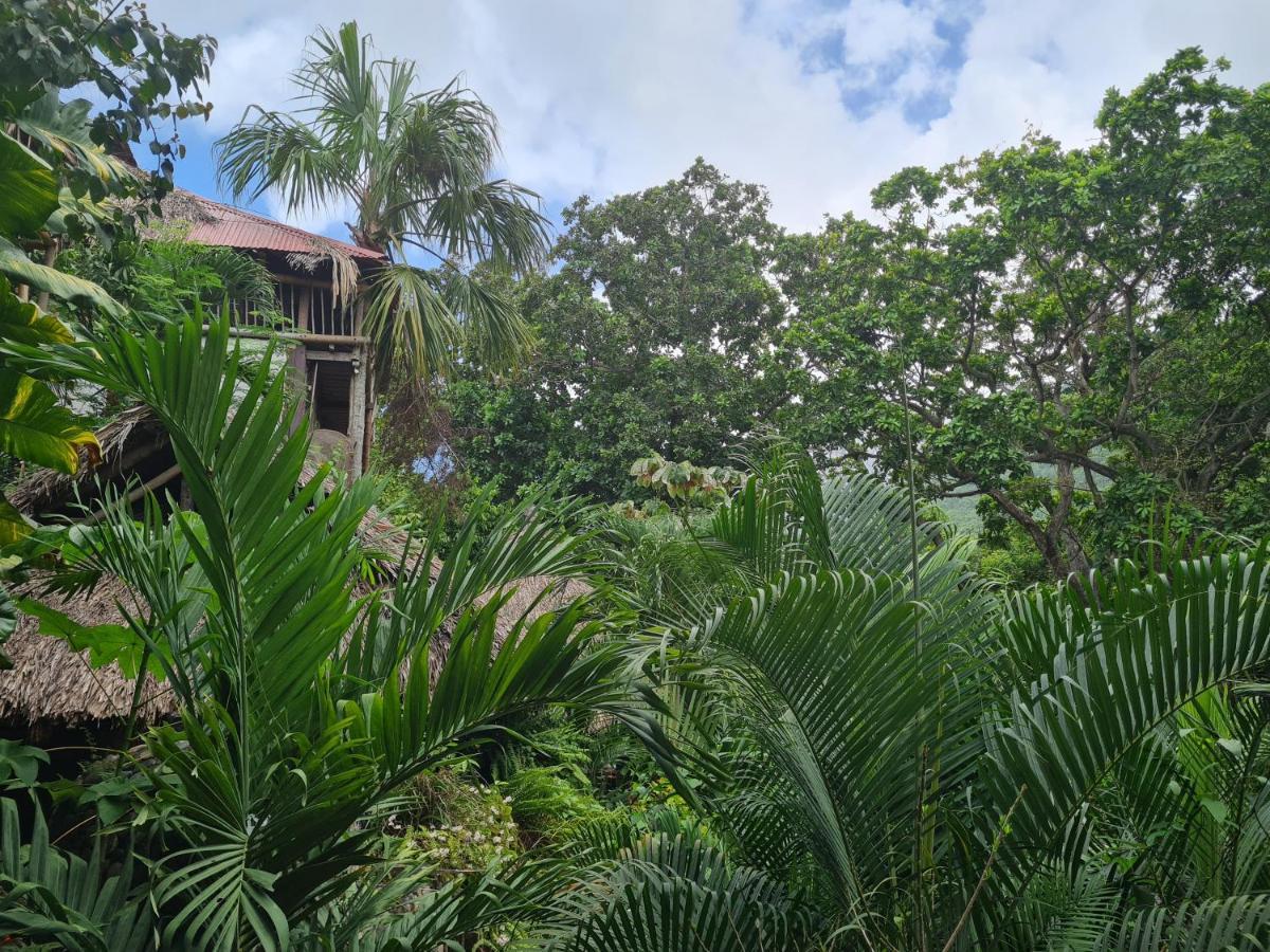 La Perla Tayrona Ostello El Zaino Esterno foto